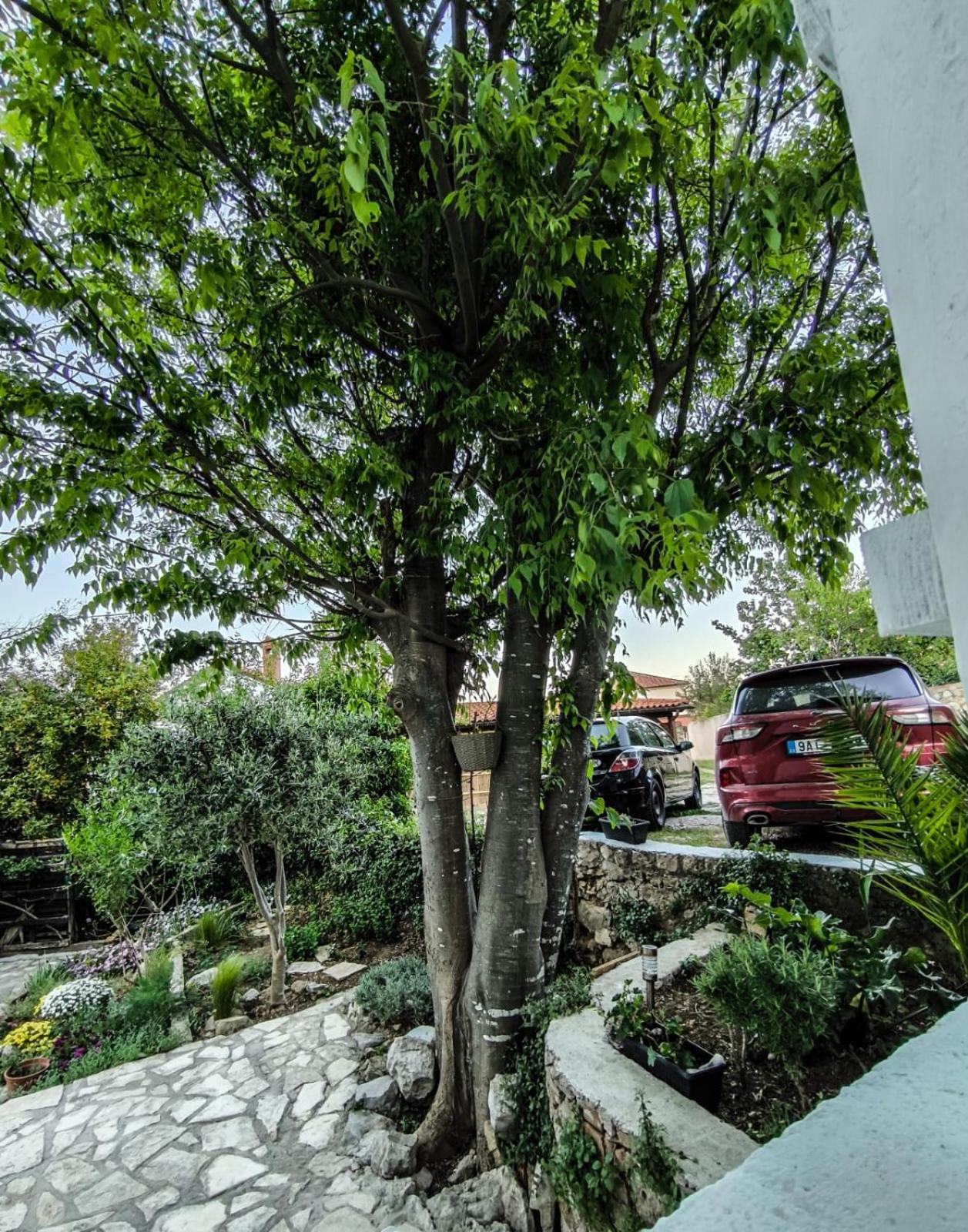 Nerezine Apartmany Centrum Luaran gambar